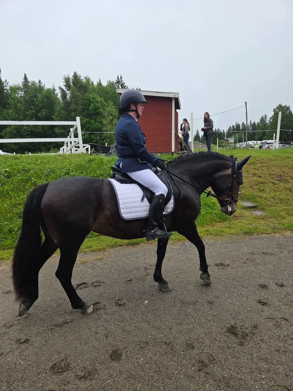 ZacZess Competition Leggings ridleggings vita helgrepp