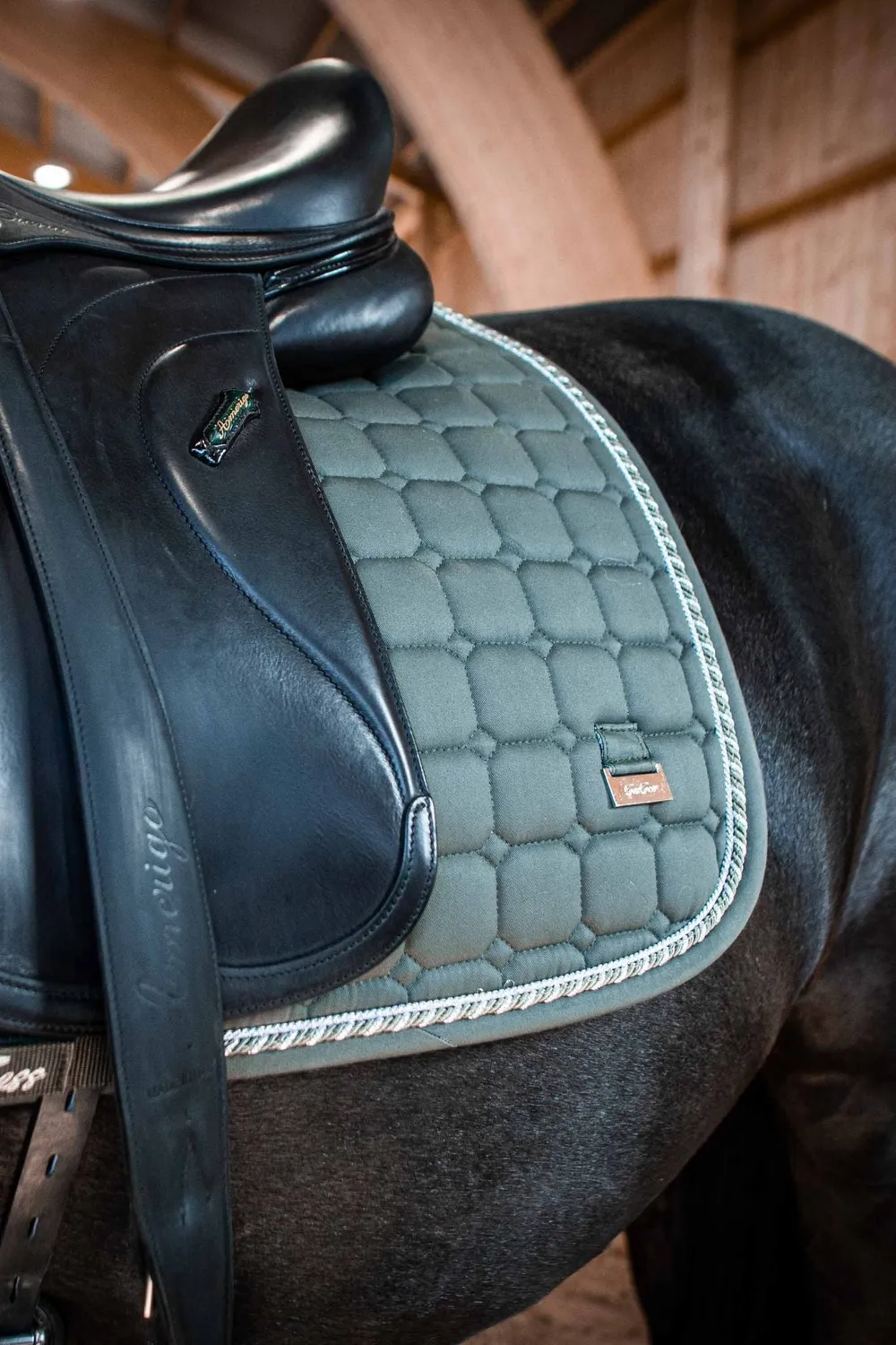 ZacZess Dressage Olive dressyrschabrak grön Full Quick Dry