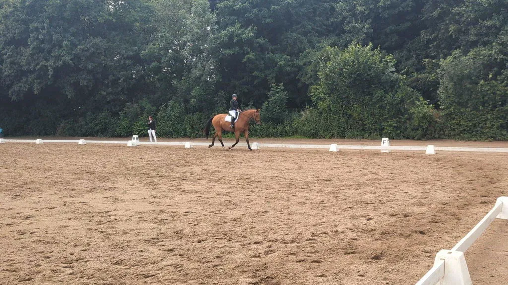 ZacZess Competition Leggings ridleggings vita helgrepp