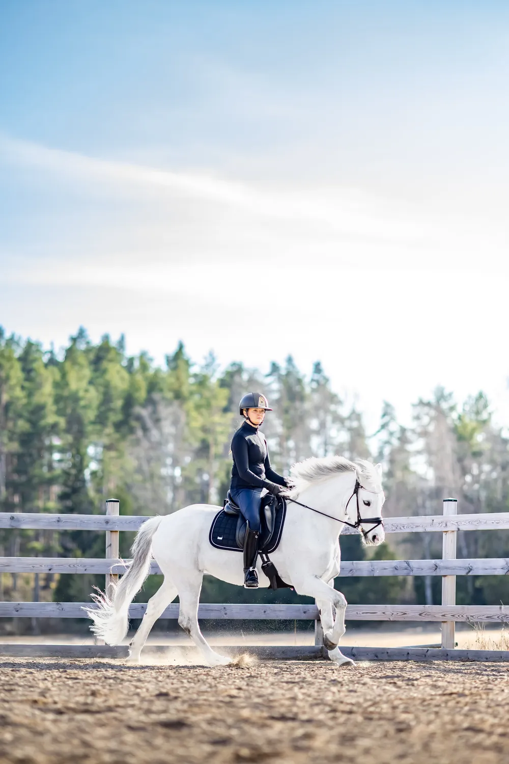 ZacZess Dressage Black Edition dressyrschabrak svart Full Quick Dry