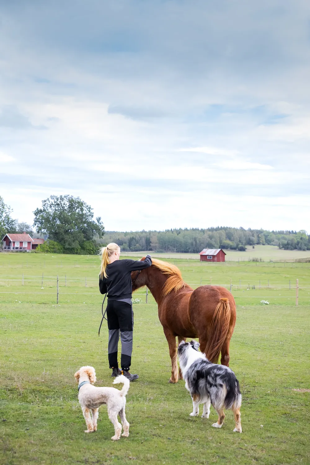 ZacZess Move Overpants överdragsbyxor grå stretch