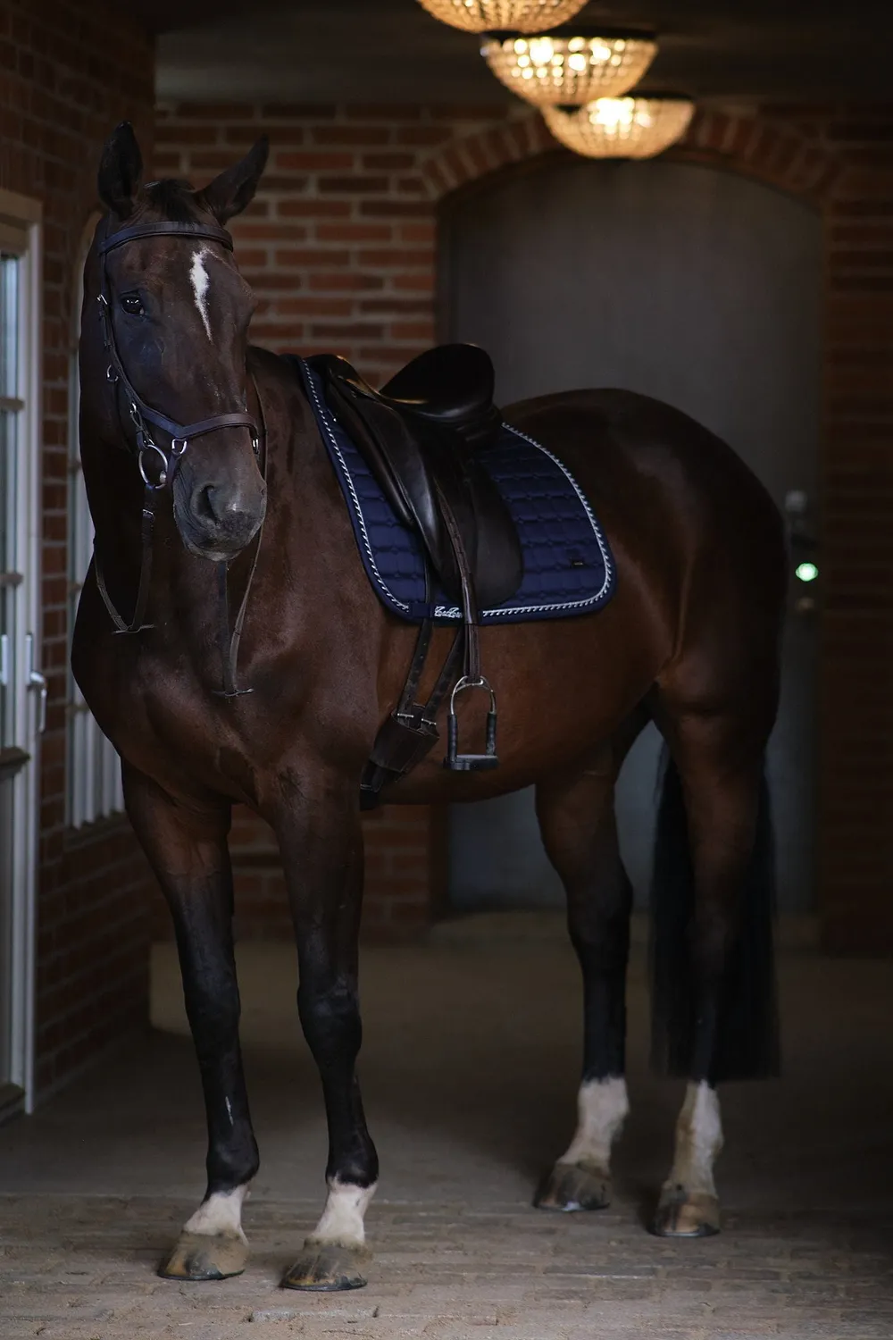 ZacZess Dressage Deep Ocean dressyrschabrak blå Full Quick Dry