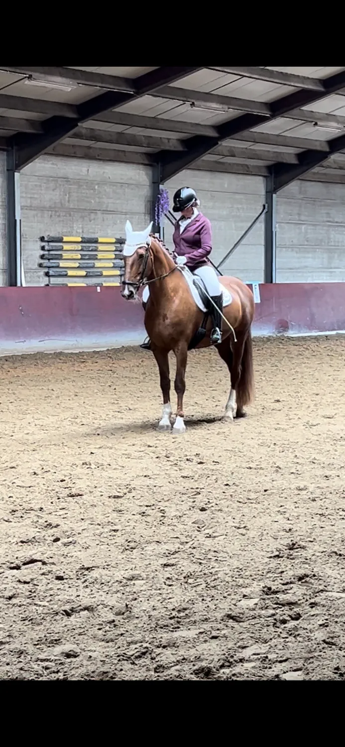 ZacZess Bombay Soft ridbyxor svart med mobilfickor stretch