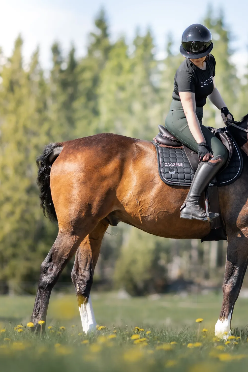ZacZess Ohio ridleggings emerald full grip hög midja