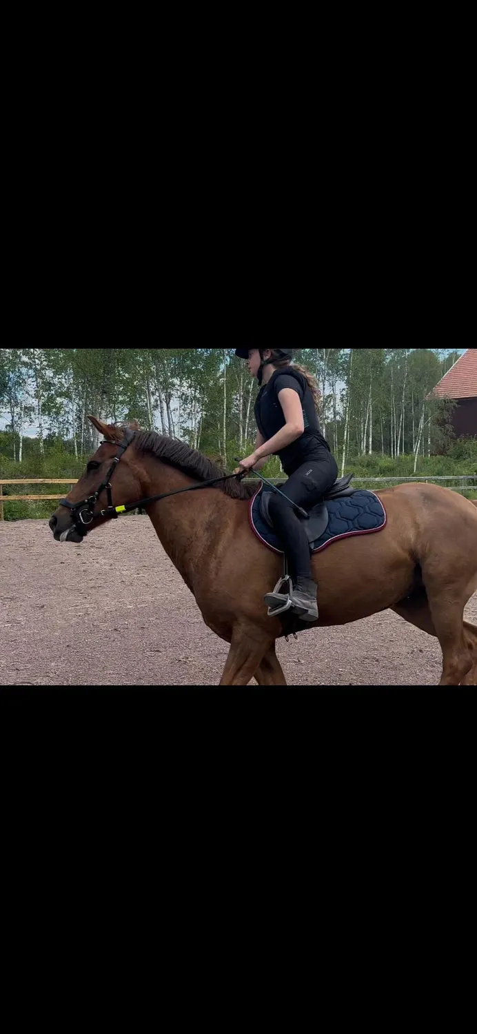 ZacZess Ohio Black ridleggings plus stora storlekar
