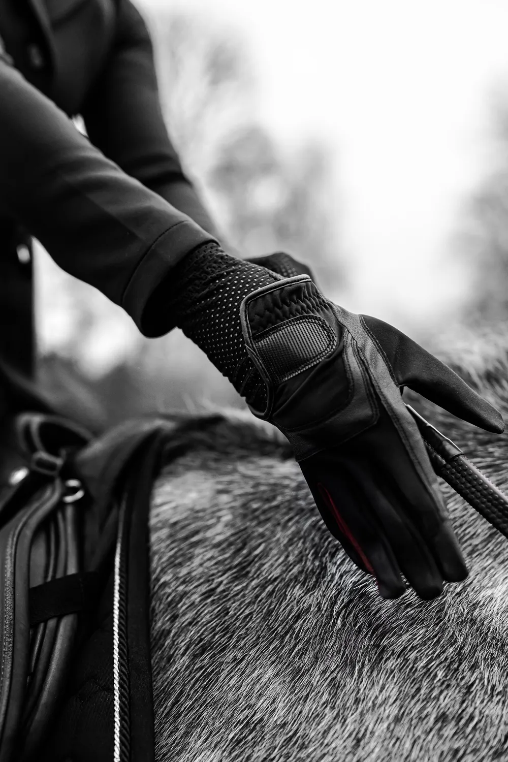 ZacZess Thermo Glove underhandske svart tunn värme