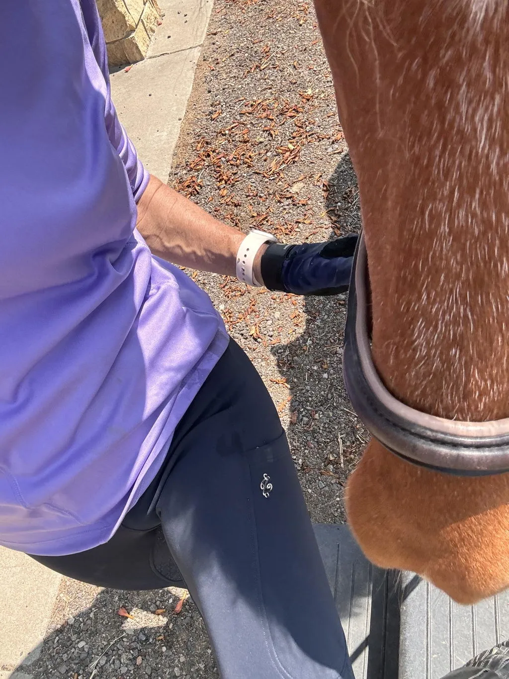 ZacZess Bombay Soft ridbyxor svart med mobilfickor stretch