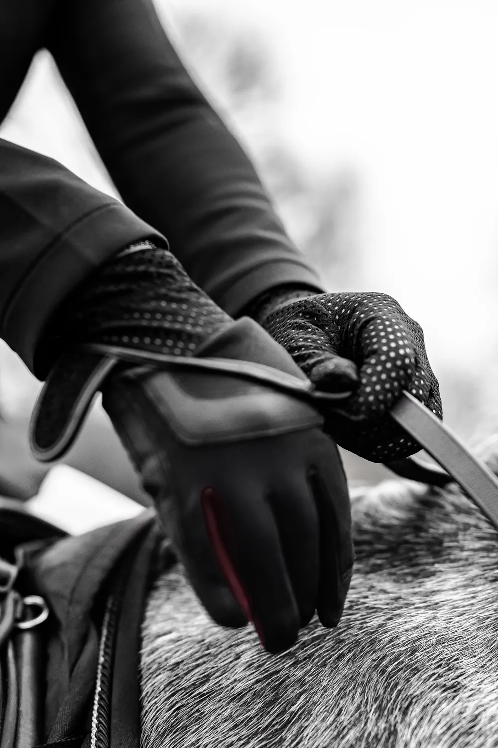 ZacZess Thermo Glove underhandske svart tunn värme