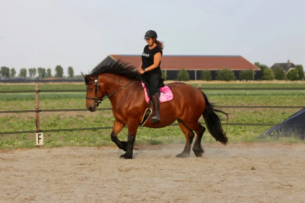 ZacZess AirFlex Leggings Black ridleggings svart dam full grip